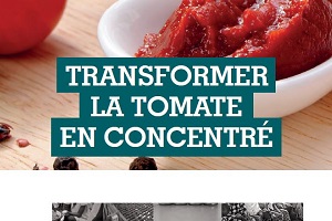 Transformer la tomate en concentré