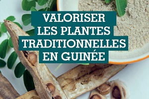 Valoriser les plantes traditionnelles en Guinée